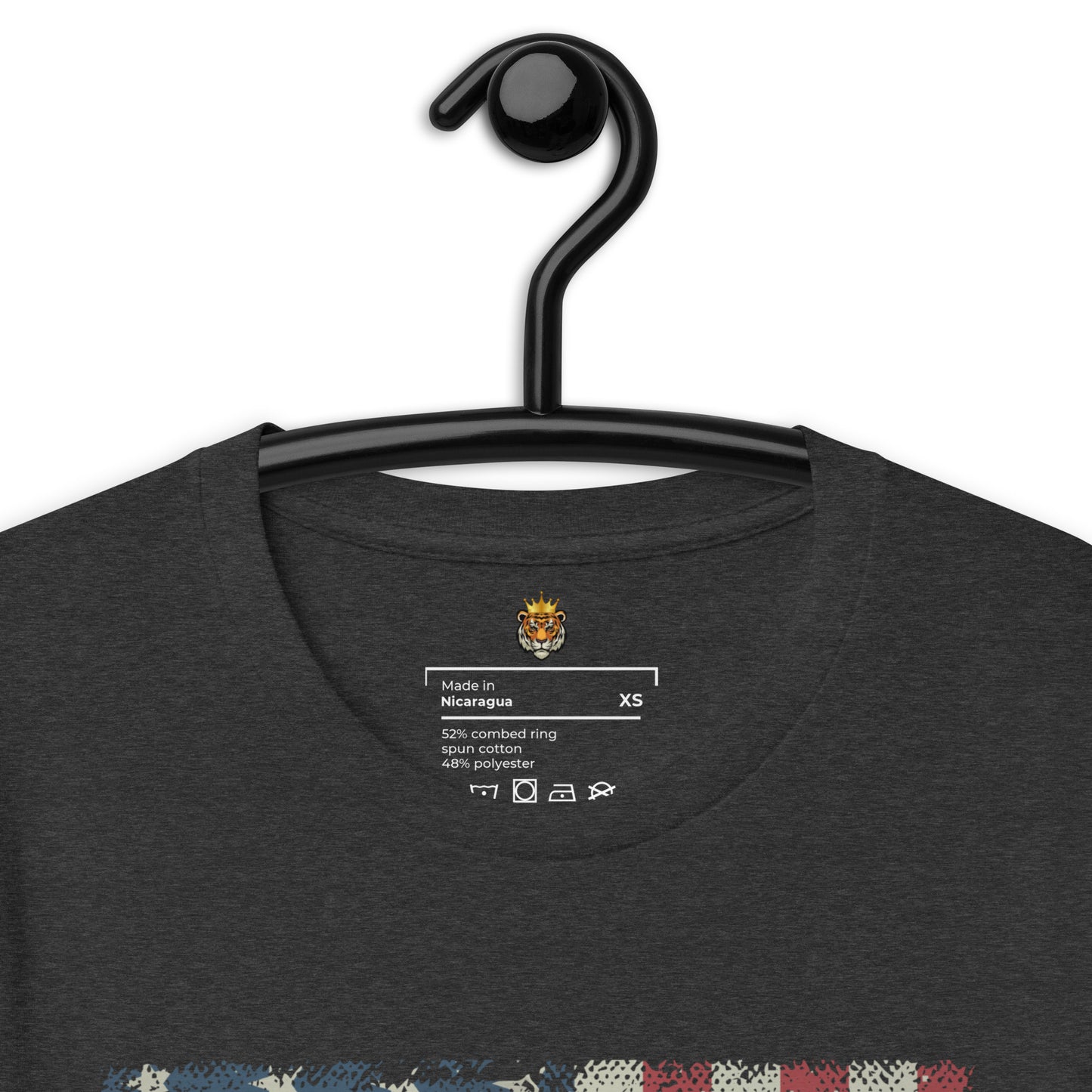 Eagle with American Flag