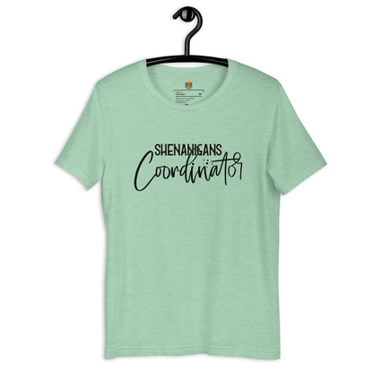 Shenanigan Coordinator